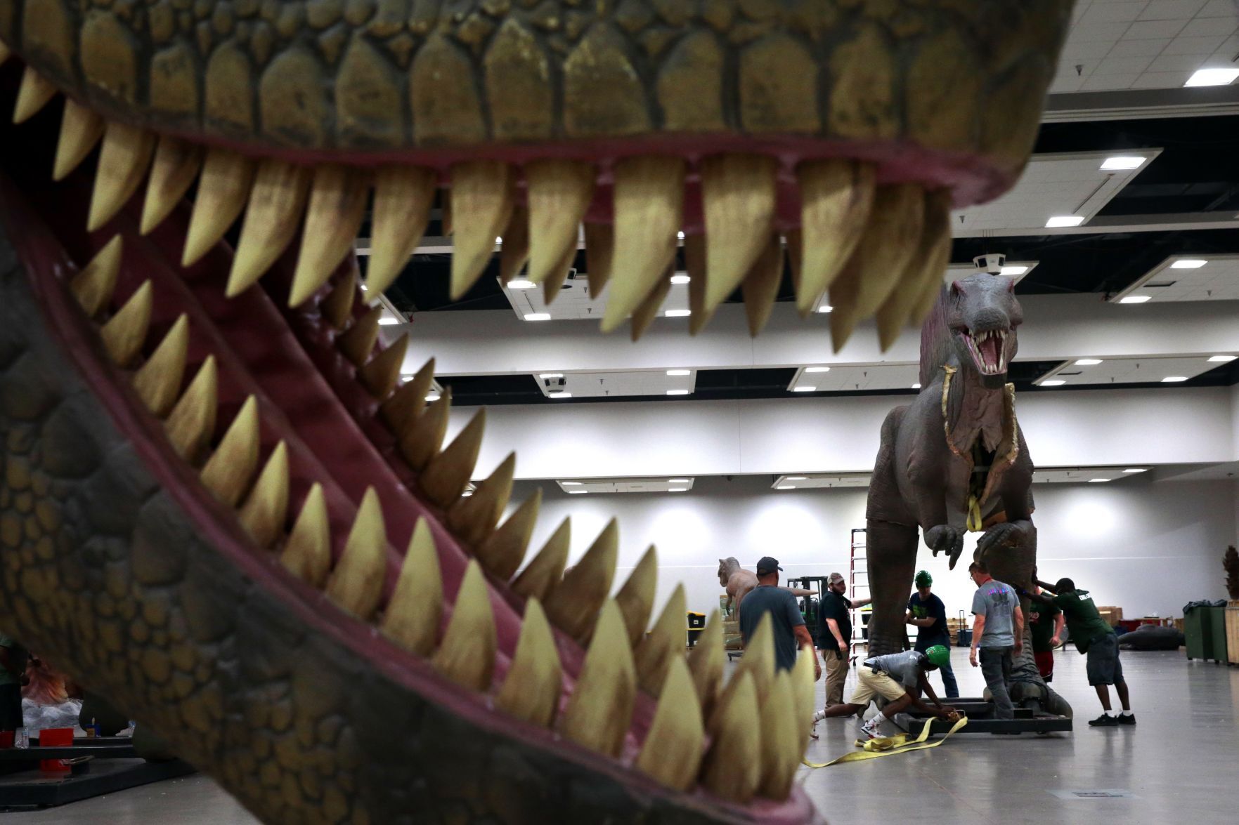 Dinosaurs invade Collinsville this weekend